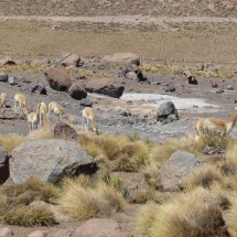 San Pedro de Atacama and its environment